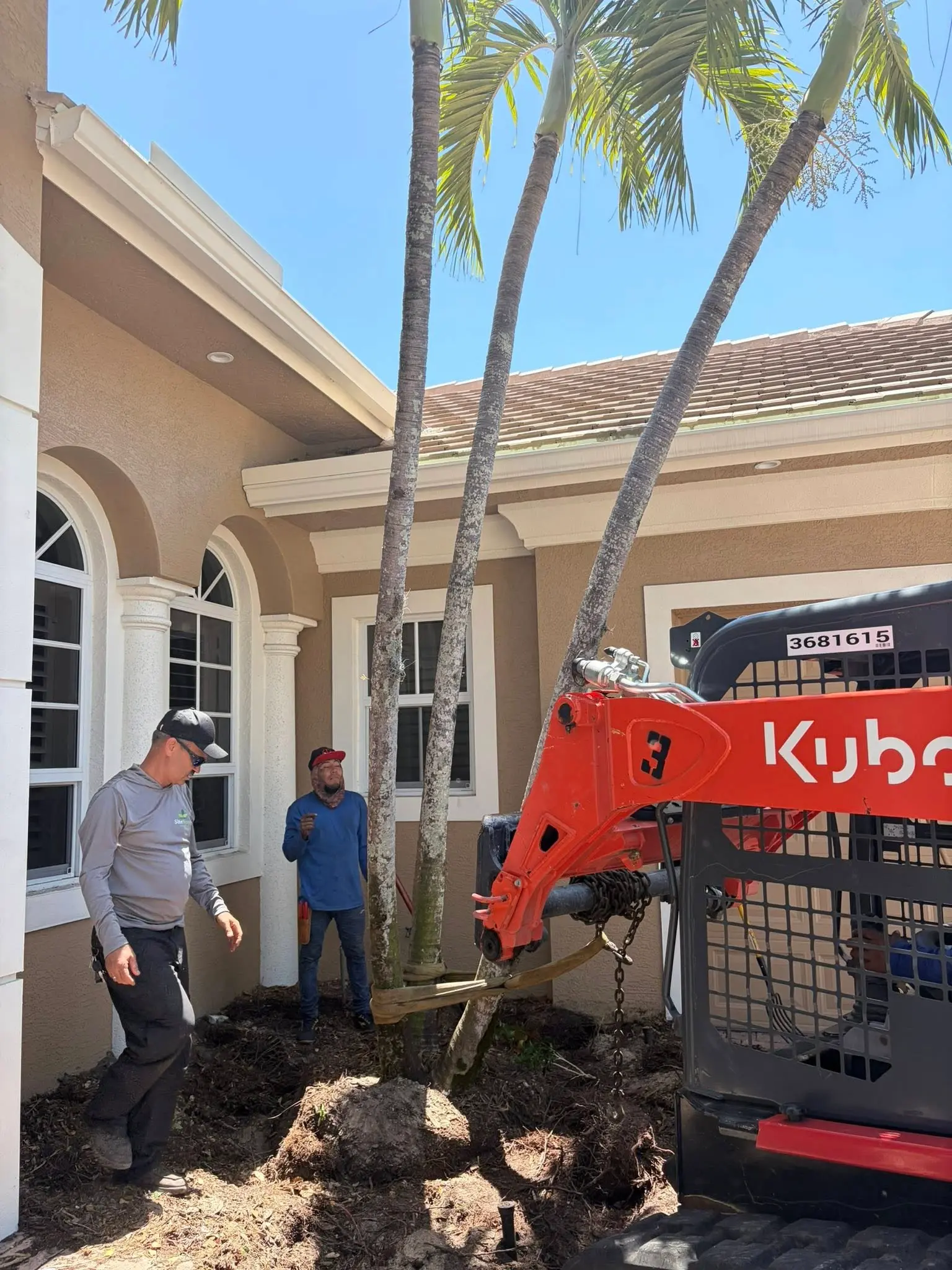 Tree & Arborist Services