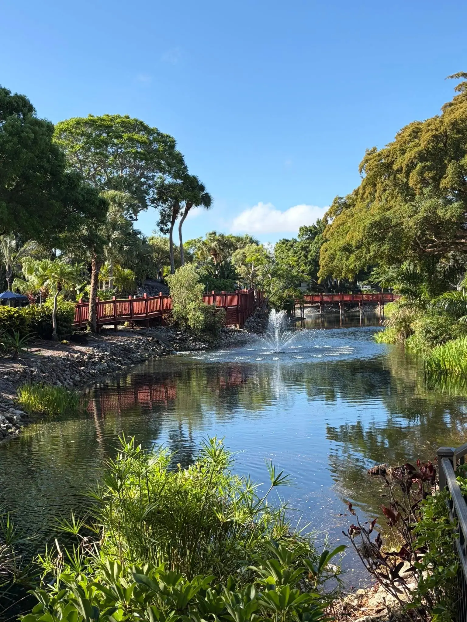 Lakefront fountain garden landscaping maintenance
