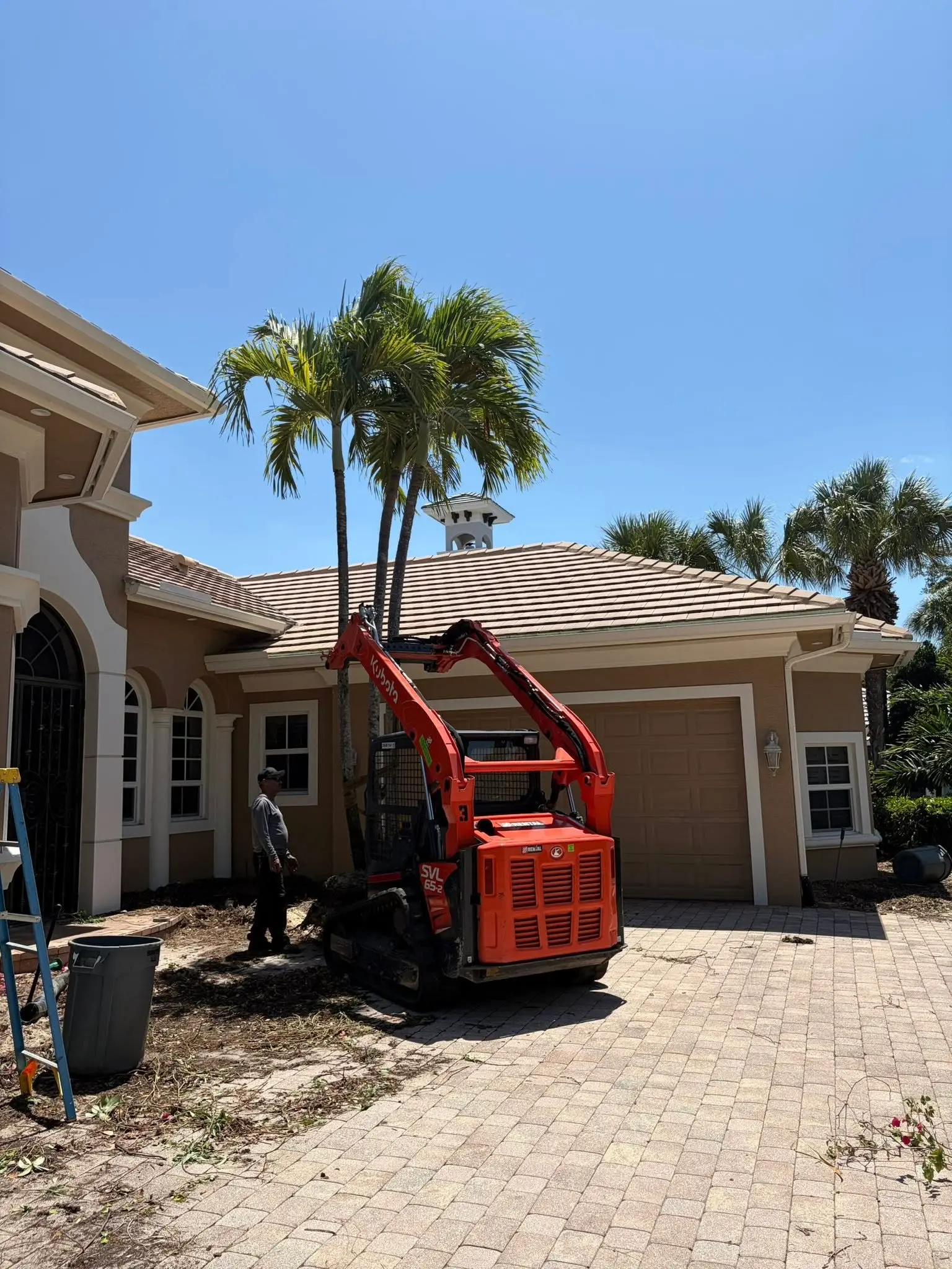 Tree & Arborist Services