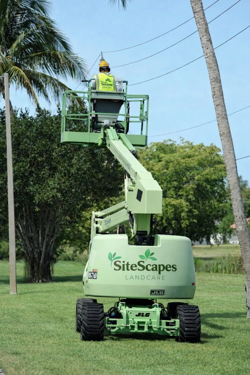 Tree & Arborist Services